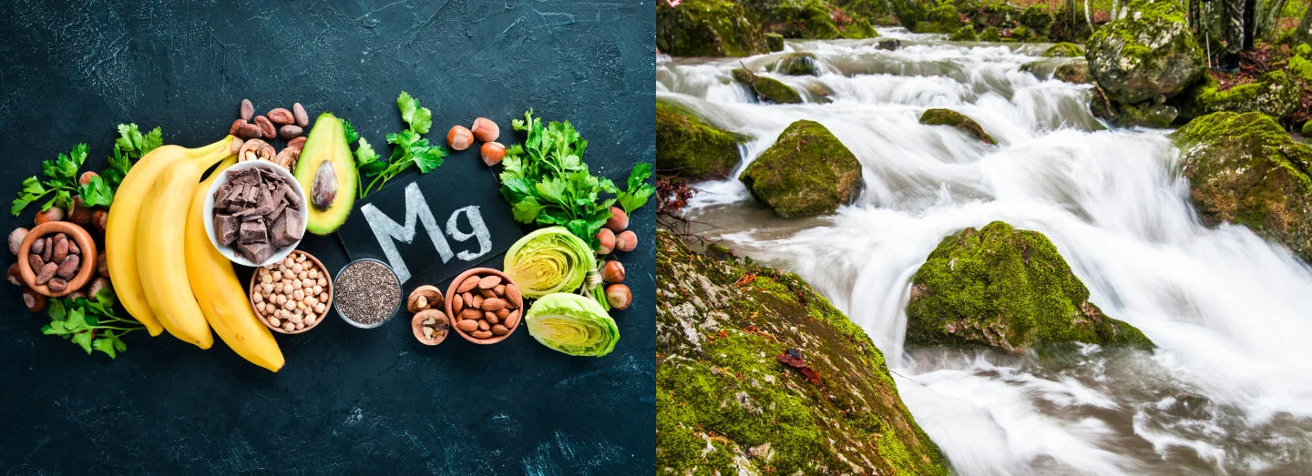 Características Agua Magensio | Fontarel Next H2.0
